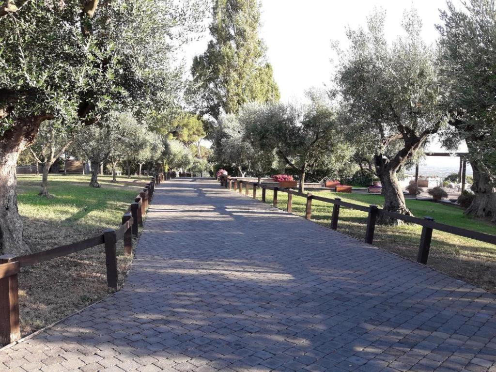 La Vista Agriturismo Boutique Ariccia Exterior photo